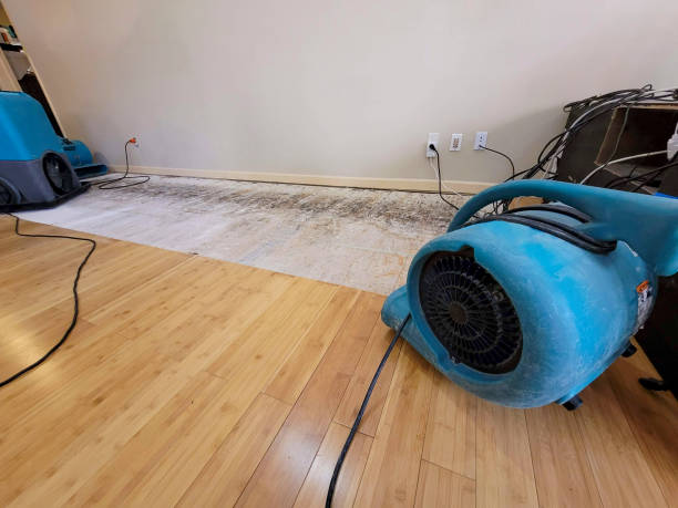 Professional Burst Pipe Water Damage technician working in Mapleton, ND